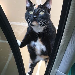 Meet your Posher, Sarah